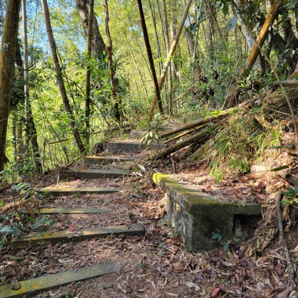 集集大山、車埕步道（小百岳）1628782