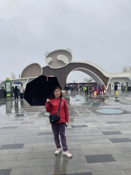 四川成都大熊貓繁育研究基地2940688