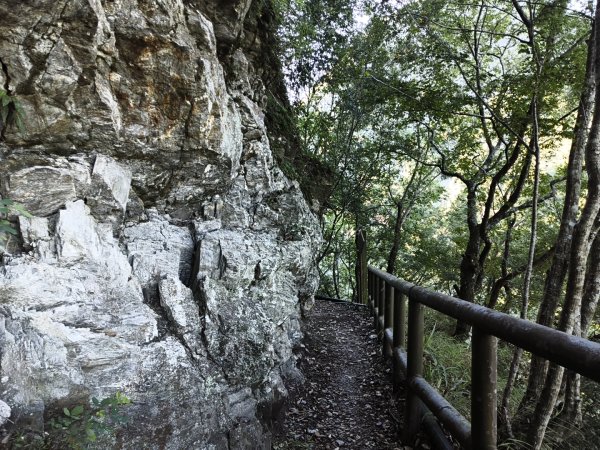 [玉山尋寶任務-07/12] 2025_0824 八通關雲龍瀑布步道2870507