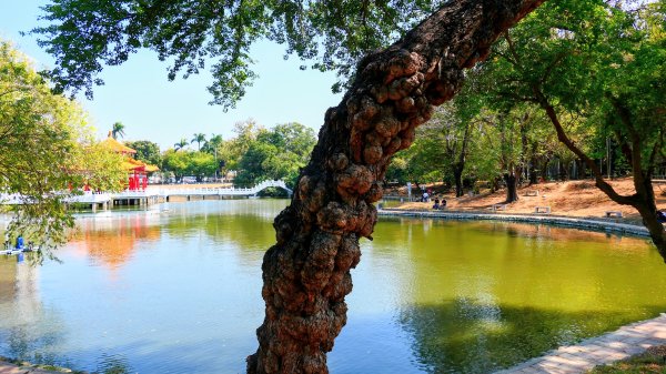 台南成大等3002048