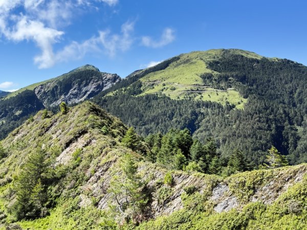 爬不膩的 合歡北峰2907036