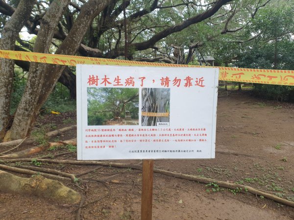 竹南三秘境---青草山、崎頂神社遺跡、北白川宮能久親王紀念碑1594413