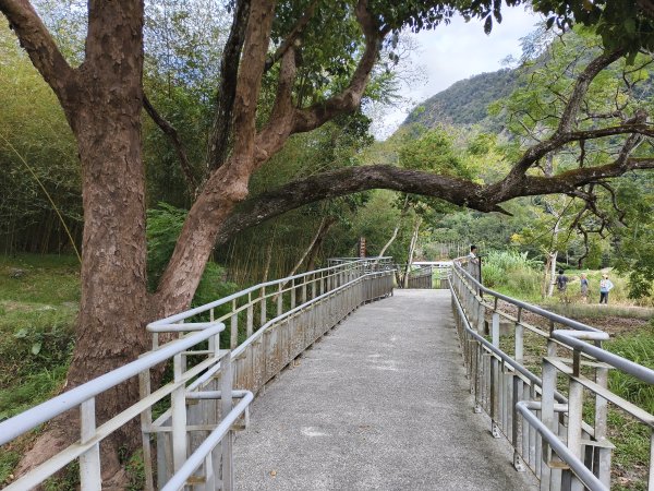 [漫遊縱谷 愛在花東-04/10] 2025_1011 羅山村竹林步道2913256