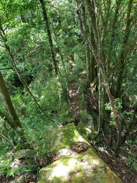 復興三尖之那結山1423095