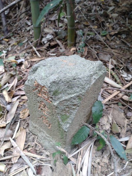 20231130燥坑山3014305