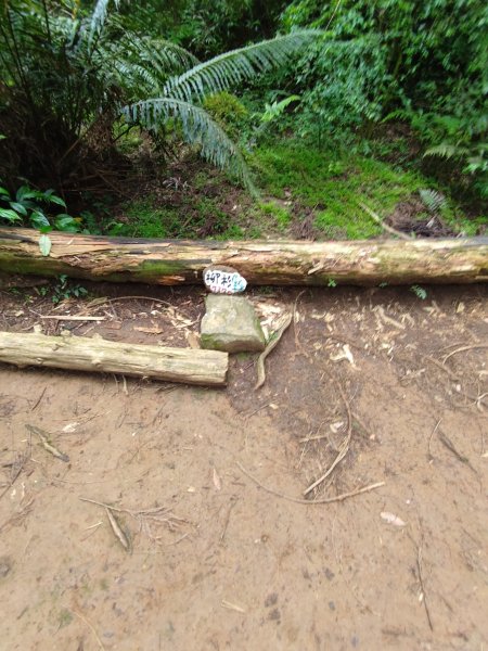 臺北大縱走第三段 小油坑至風櫃口2774176