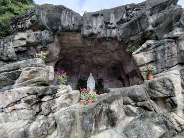 朝聖抹茶山2949482