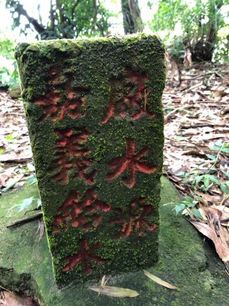 嘉義連峰獨立山大巃頂紅楠坑觀音石阿拔泉633327