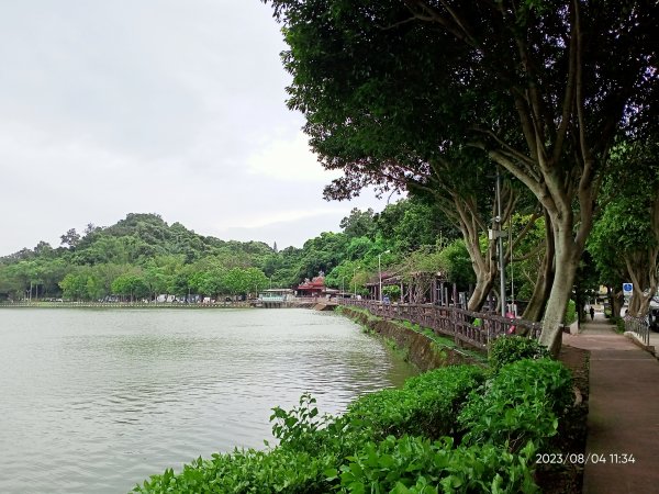 內湖碧湖公園、內湖國小、大港墘公園、文德三號公園、瑞陽公園【健康大穀東、走路趣尋寶】2240517