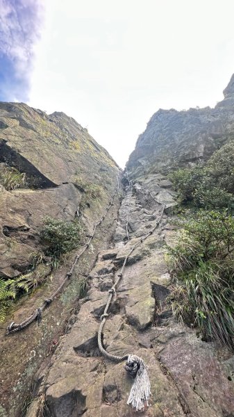 黃金三稜賞芒花2950875