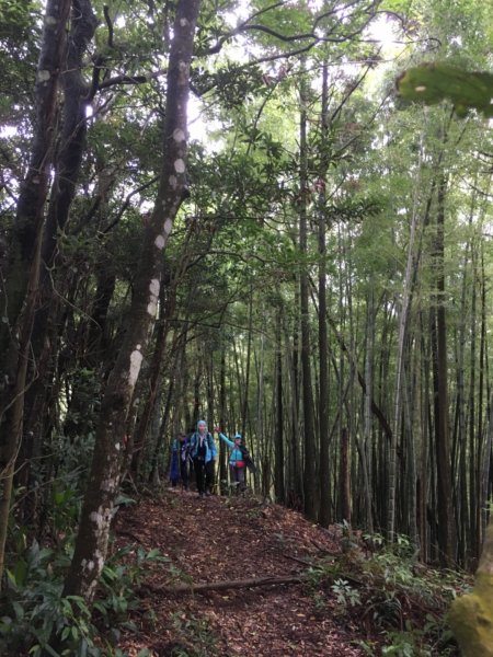 金敏子山-詩朗山-塞內坑山-內金敏子山1121167