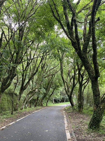 《走進竹子湖的清晨｜慢跑+美食＋泡湯享悠閒》2852692