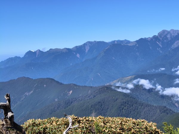 北一段(11/14)南湖北峰 2025_0906~132887288