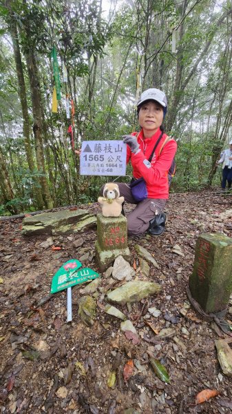 111/12/18藤枝森林園區東藤枝山、藤枝山1979586