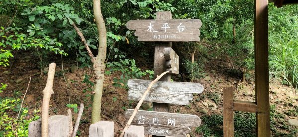 台中梨山，天池，福壽山農場，大肚萬里長城登山步道，苗栗劍潭古道，口山步道，獅頭山，獅山古道1840847