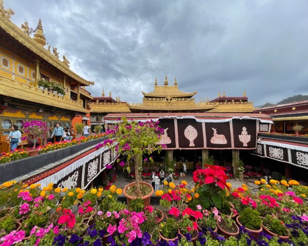 拉薩/布達拉宮-札達/古格王朝遺址皮央東嘎遺址-古寺廟2898539