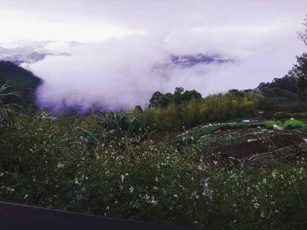 古厝巡禮～猴山岳、草厝、炮子崙瀑布O走1112808