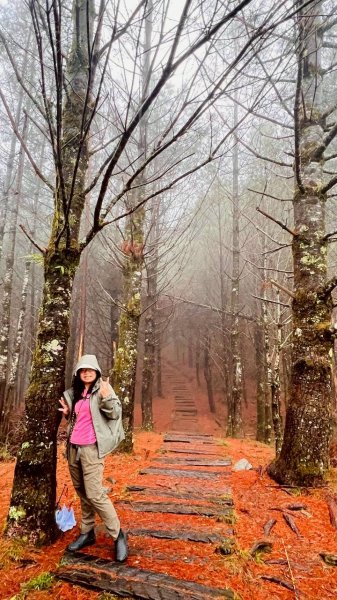 🌈4/6（一）關山越嶺古道-中之關古道✨FB：熊熊趴爬走~歡迎加入🌈3031192