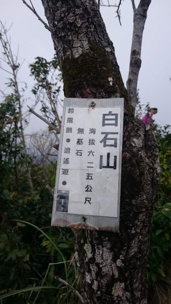 大溪白石山步道351894