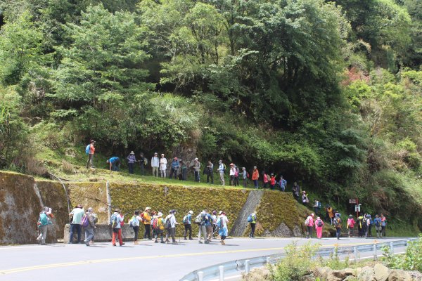 20240518嘉義鹿林山-鹿林前山-石山2508095