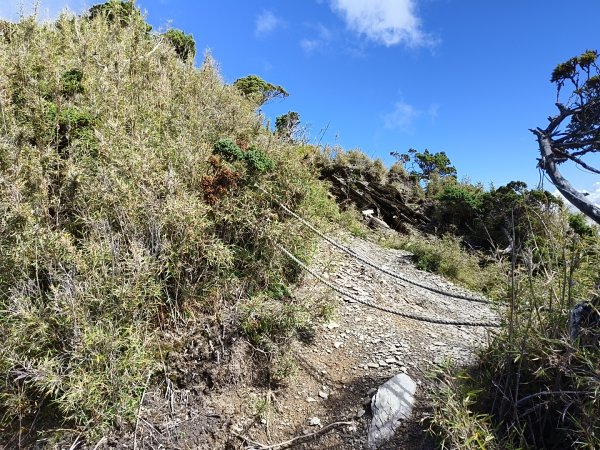 北一段(11/14)南湖北峰 2025_0906~132887341