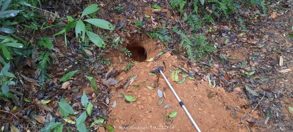 《苗栗》霧雨寒流｜三義三角山步道202512252969203