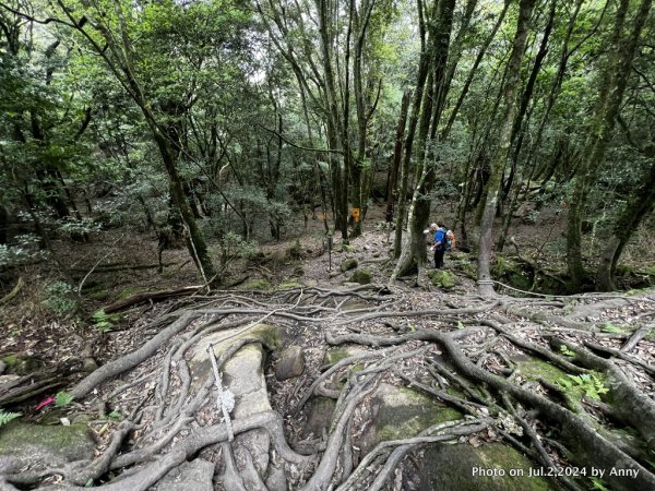 加里山好精彩2547417