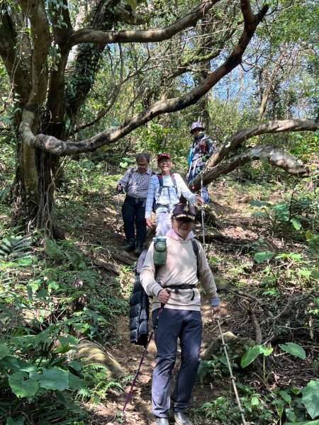 2025-0204 鶯歌_大凍山_三角埔頂山_迴龍2708030