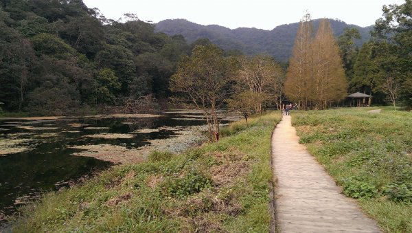 福山植物園964645