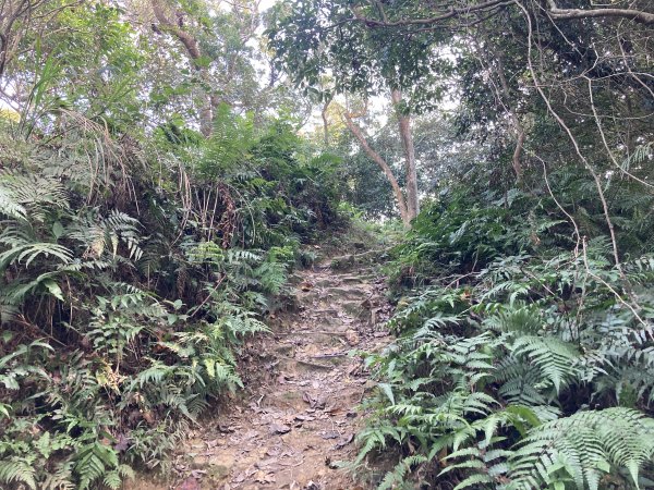 石門山登山步道2396655