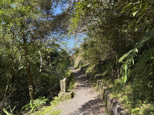[淡蘭古道] 2026_0315 南路第三段_四分子古道3016921