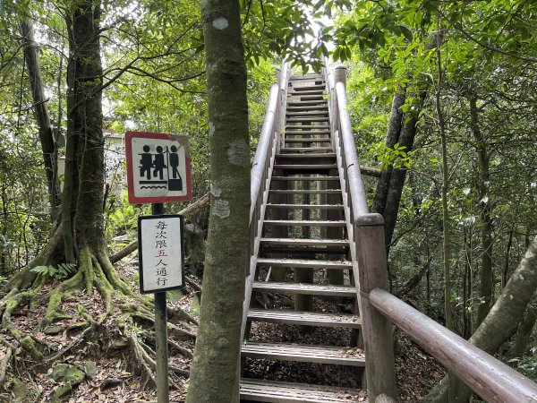 志繼山-東眼山-拉卡山-東滿步道-卡外山1706020