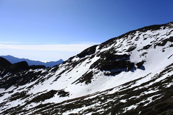 巧遇四月雪（雪主東）308431