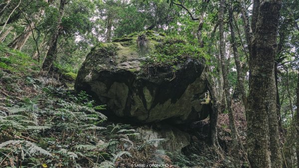 【魯凱，Oponoho】濁口群(下三社)，舊萬山 - 歐布諾伙2396106