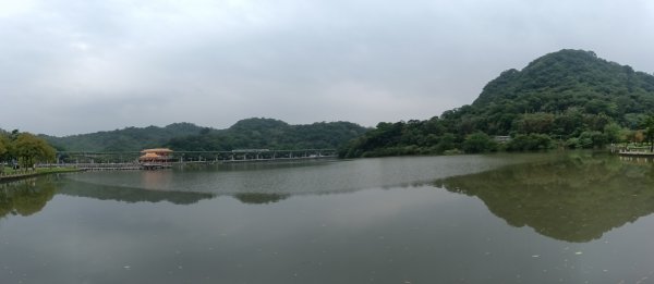 內湖區大湖公園+白鷺鷥山2931128