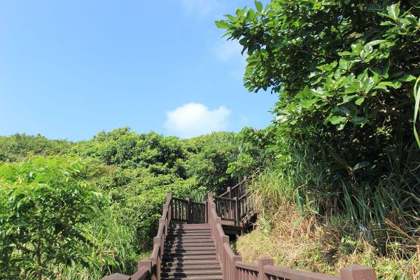 瑞芳南子吝登山步道204875