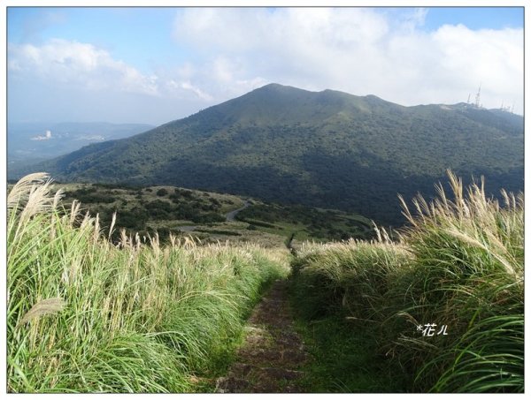 大屯主峰步道(小百岳)2384934