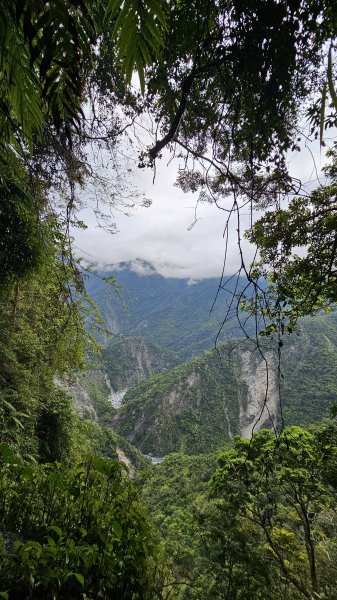 【美美兔走山趣】瓦拉米單攻27.2K-神人級路線。2773385