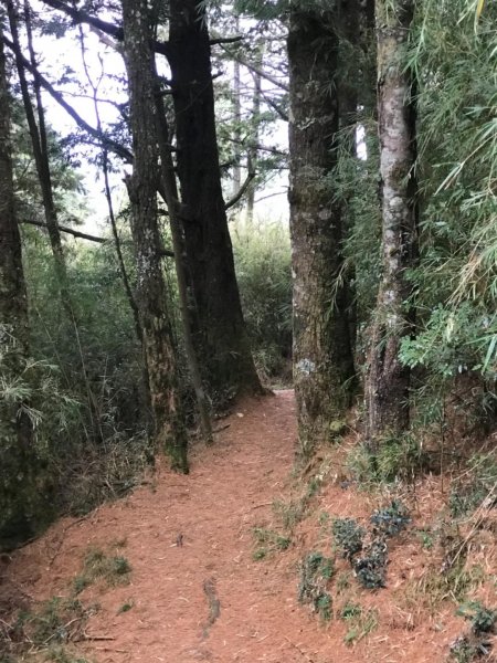 大雪山林道船型山鞍馬山537500