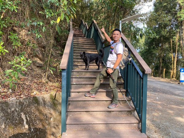 貓囒山.涵碧步道.金龍山步道【國旅首選日月潭微秘境之旅】2448766