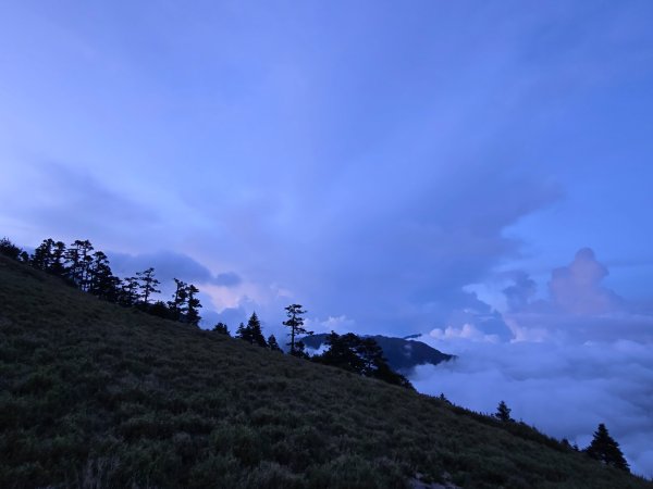 志佳陽大山（回程走高繞環山獵人登山步道）2542214