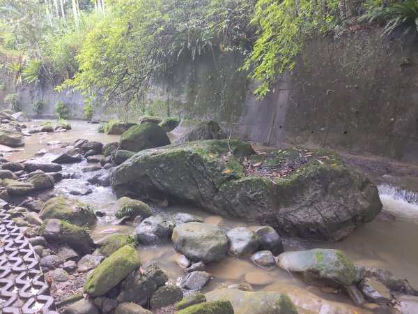 四寮溪生態步道2882173