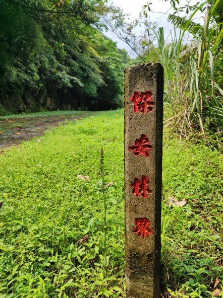 鹿角坑步道、楓林瀑布 - 陽明山國家公園申請路線~32476178