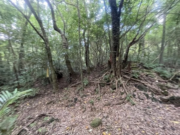 石笋古道O型2553817