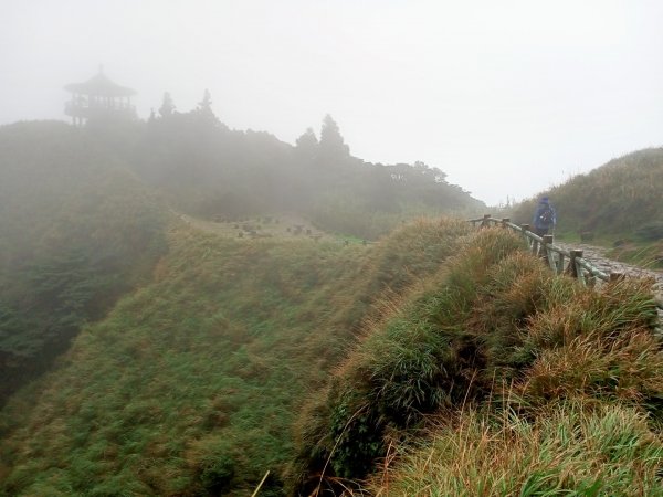 【臺灣百大必訪步道】七星主、東峰登山步道1186792