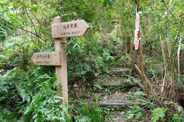 新北 烏來 大刀山、拉樸山、阿玉溪山2704947
