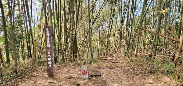 2025-01-19孝子路步道、大巃頂2694261
