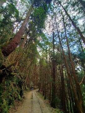 特富野古道2349574