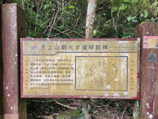 小百岳No.14⛰天上山2827774