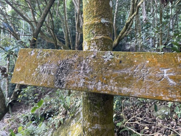 崁頭山&竹子尖山2964391